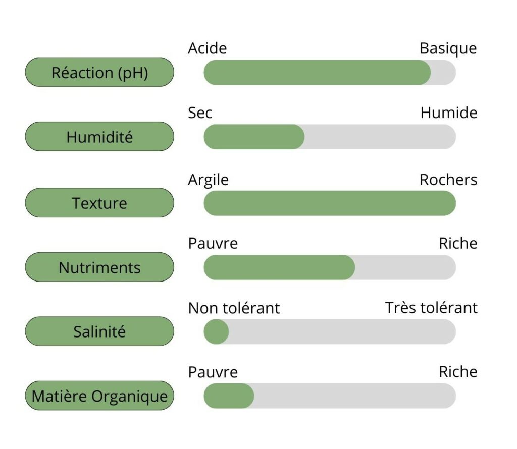 Caractéristique du sol