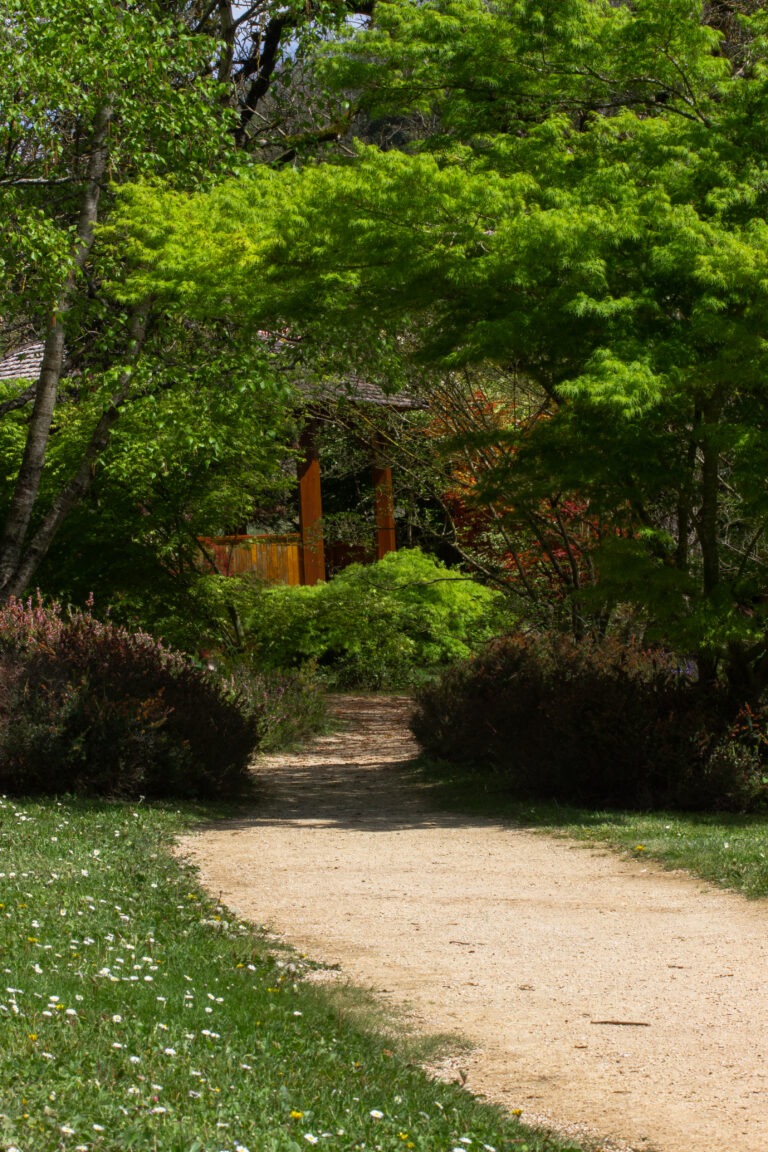 Chemin du jardin de Mornac