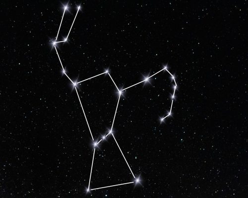 Orion